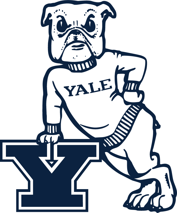 Yale Bulldogs 2019-Pres Secondary Logo DIY iron on transfer (heat transfer)